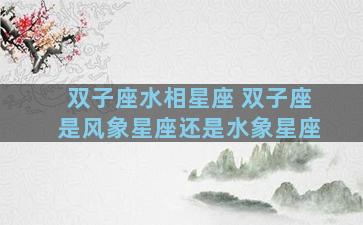 双子座水相星座 双子座是风象星座还是水象星座